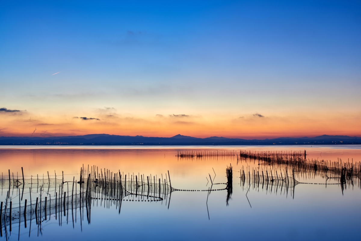 Albufera des Grau