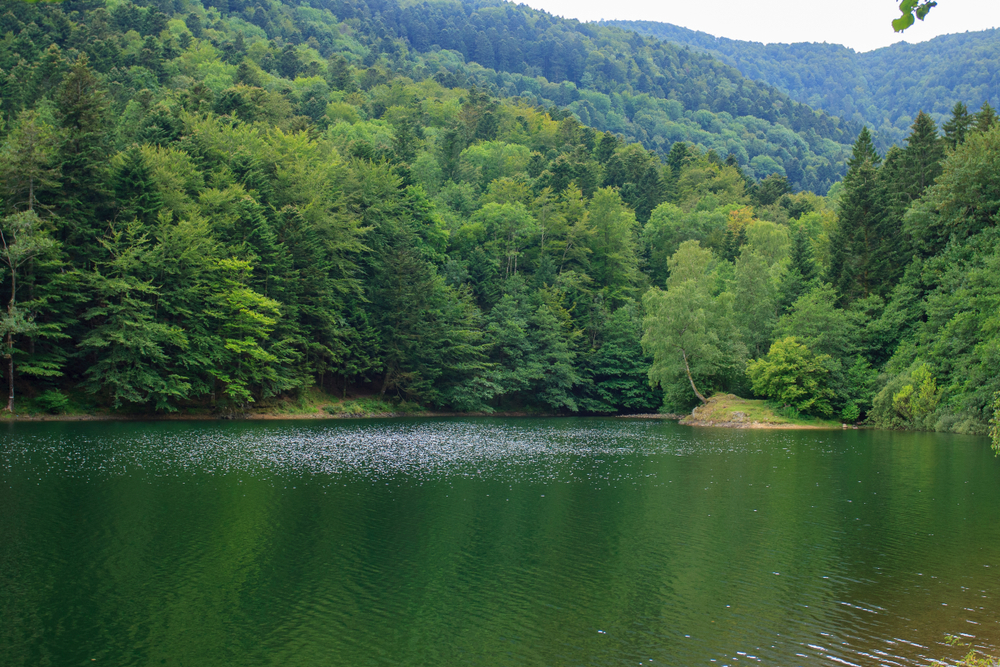 Le lac d'alfeld