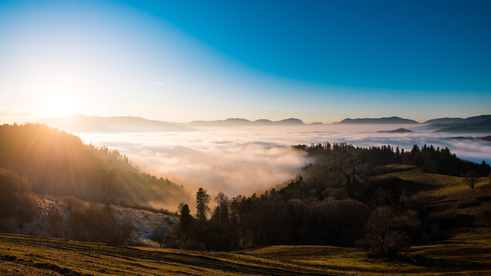 Aller dans les Vosges