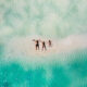 Île Maurice : Top 12 des Plus Beaux Endroits à Visiter Absolument