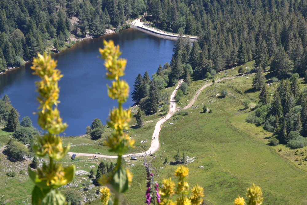 Le lac du forlet