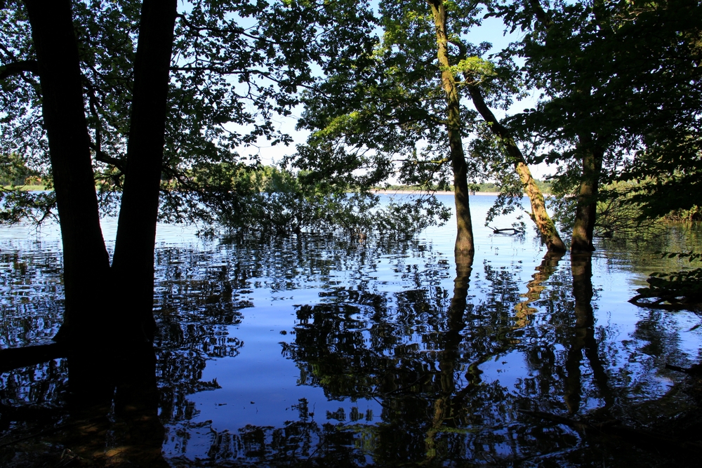 lac-de-bouzey