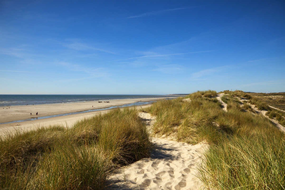 Plage Touquet