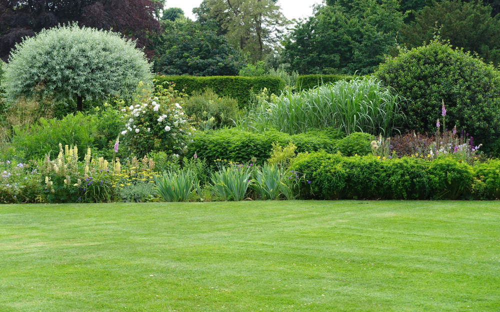 Jardin des bestioles