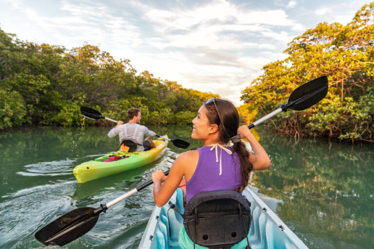 La Mangrove en Guadeloupe