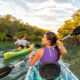 La Mangrove en Guadeloupe