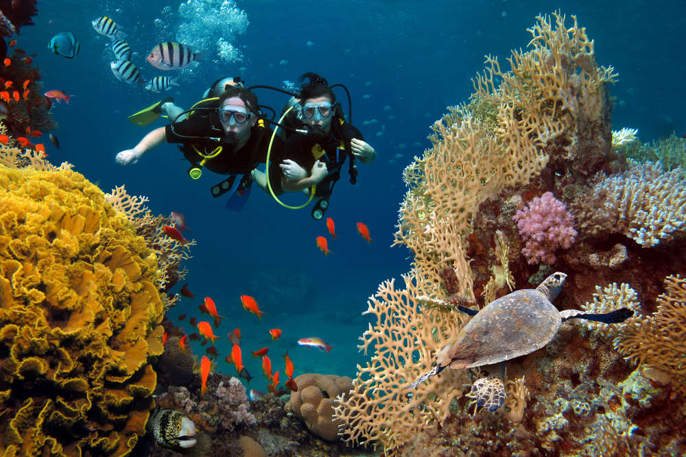 Organiser son voyage à fuerteventura