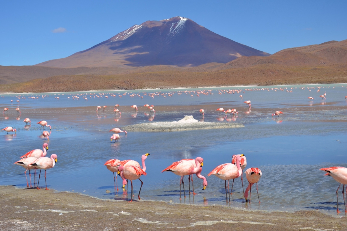 Le salar d'Uyuni