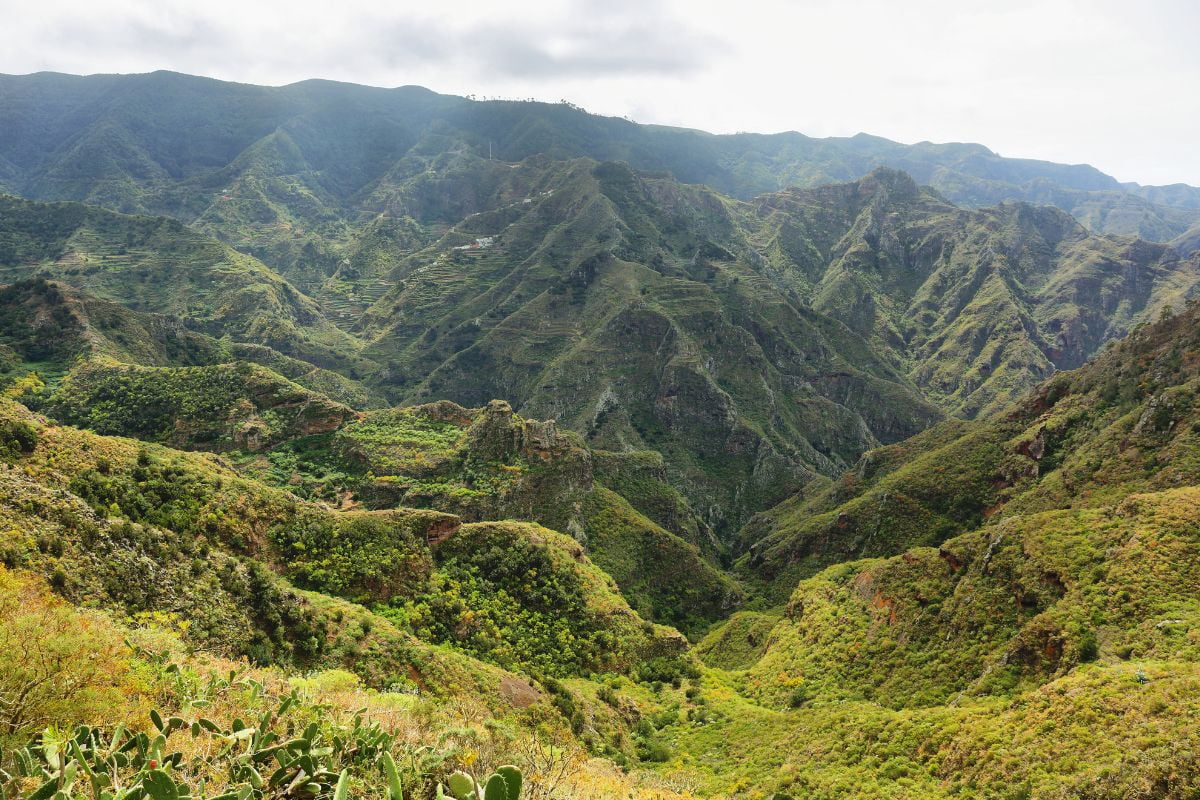 Massif d'Anaga