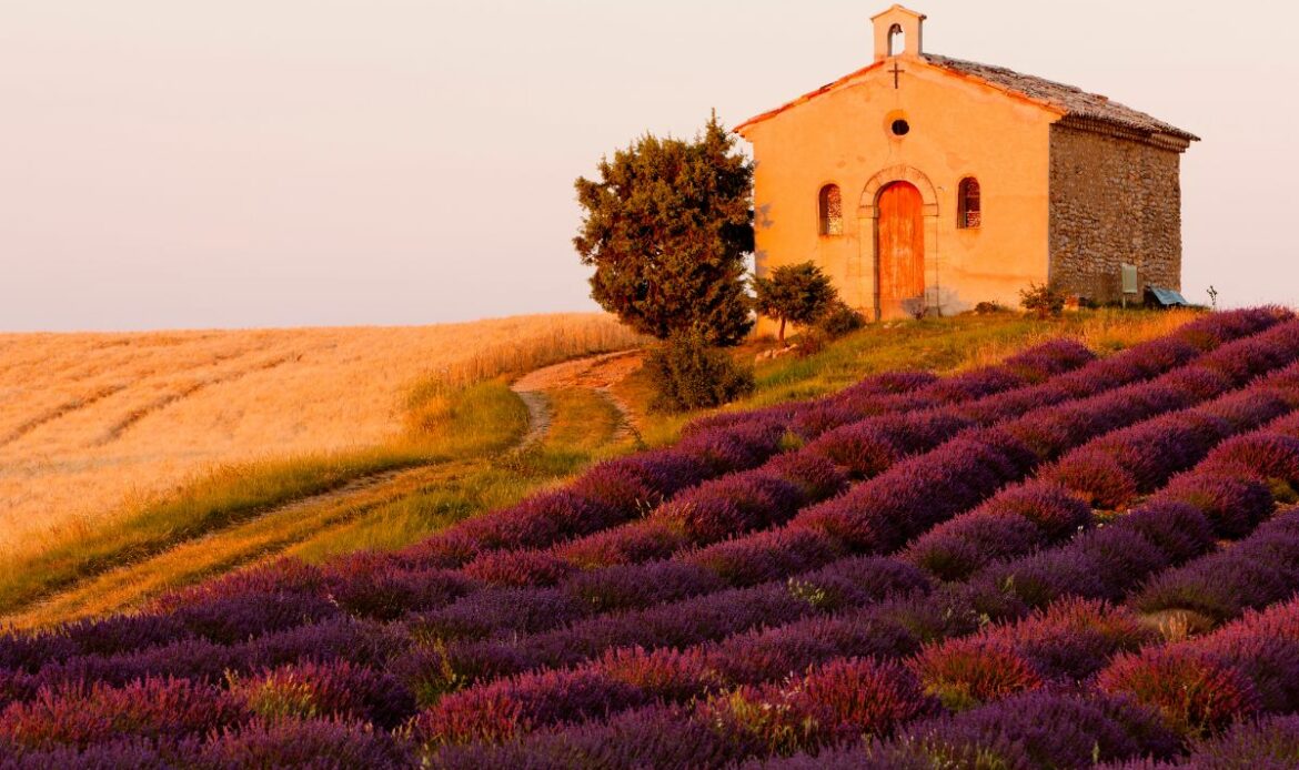 Provence au mois de mai