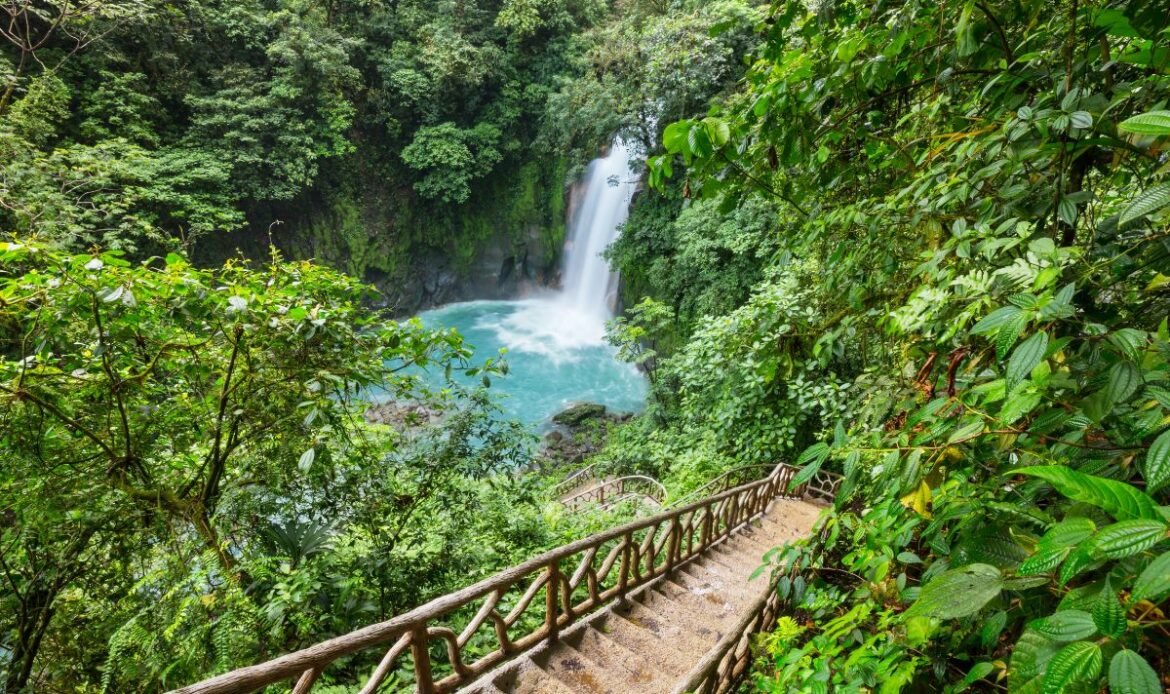 Forêt costa rica