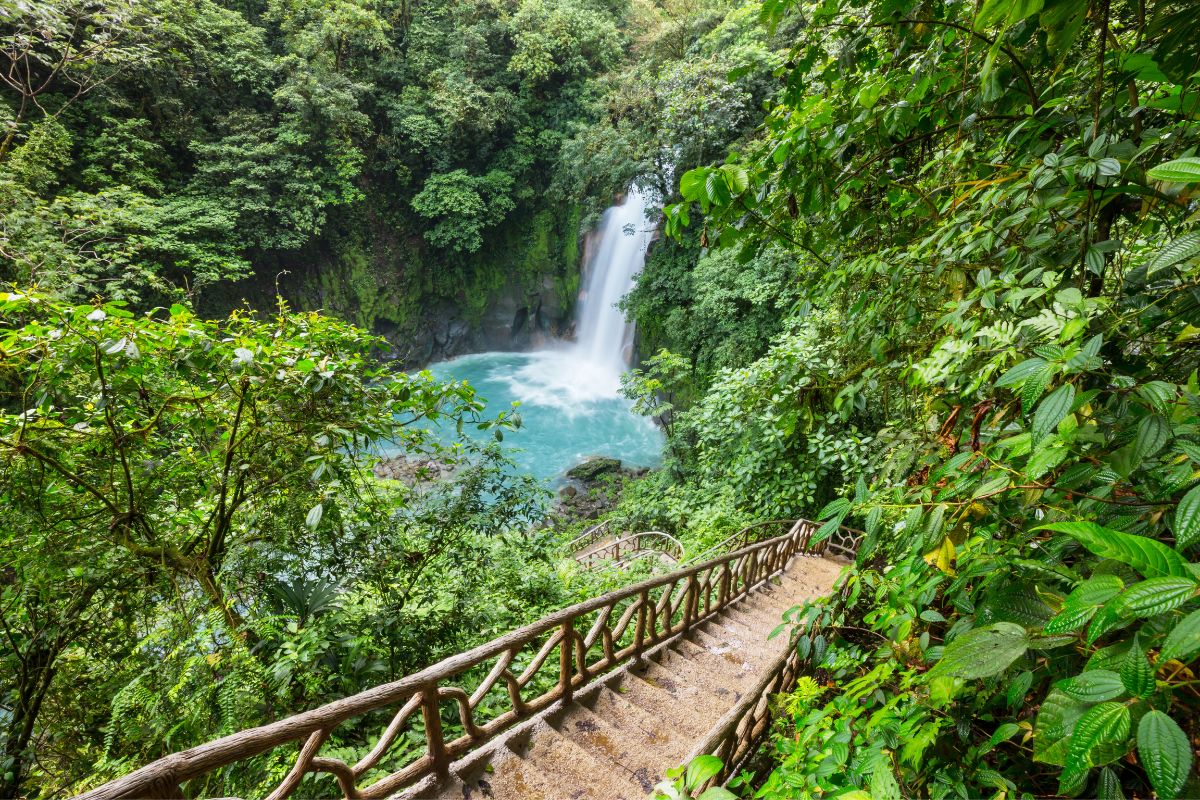 Forêt costa rica