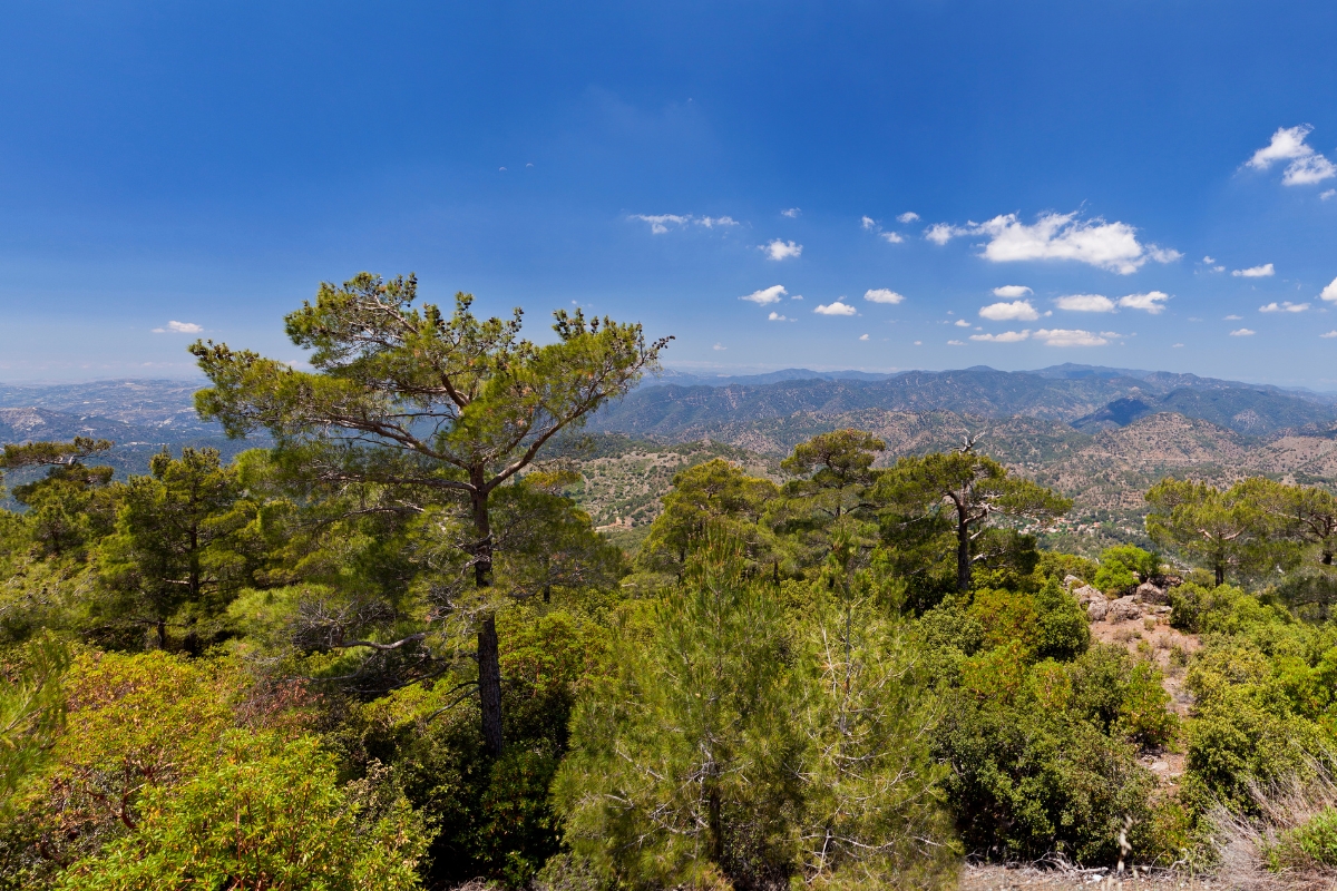 Troodos Mountains