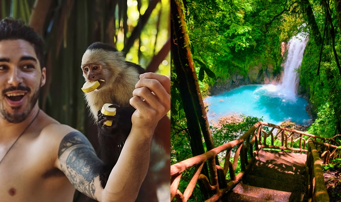 Soignez les animaux au Costa Rica