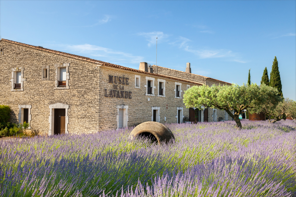 Visiter le musée de la lavande