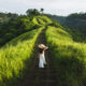 Quand est la saison des pluies à Bali ?