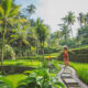 Top 10 des activités à faire à Ubud à Bali