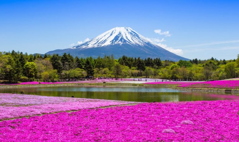 Quand partir japon