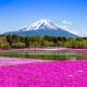 Quand Partir pour le Japon ? Choisissez la Meilleure Période
