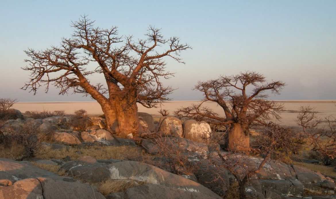 bostswana