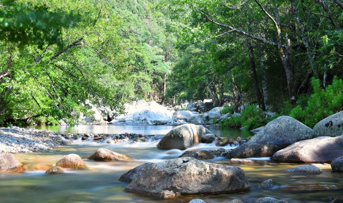 Gorges de la Spelunca