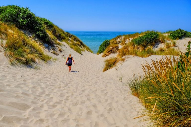 été dans le pas de calais