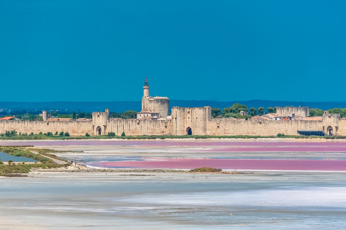 Camargue