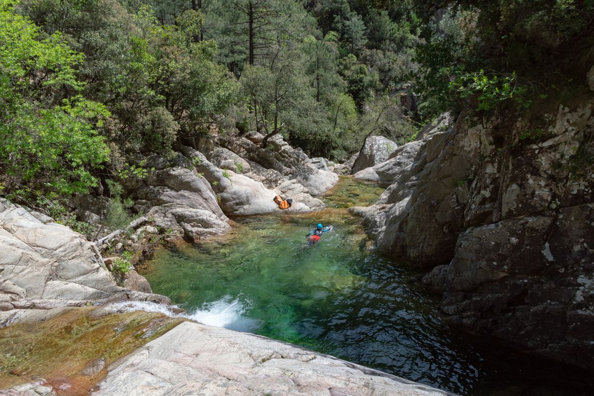 Corse purcaraccia