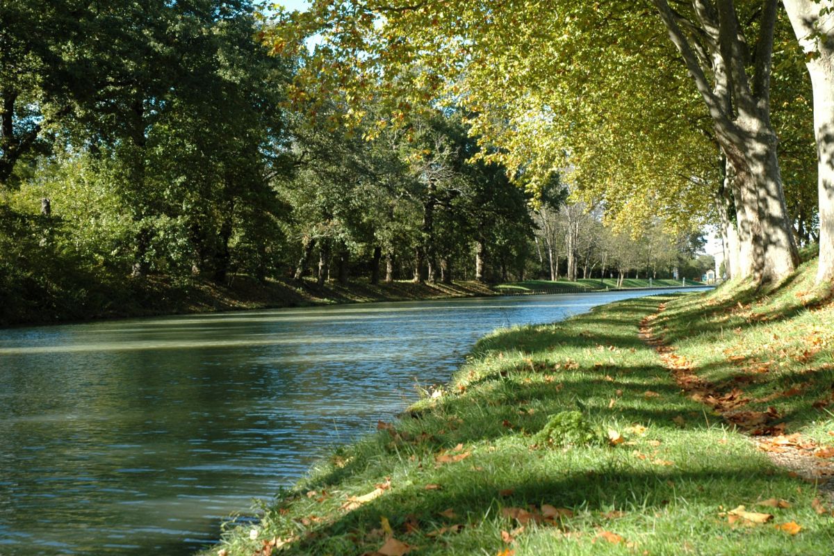 Canal du midi