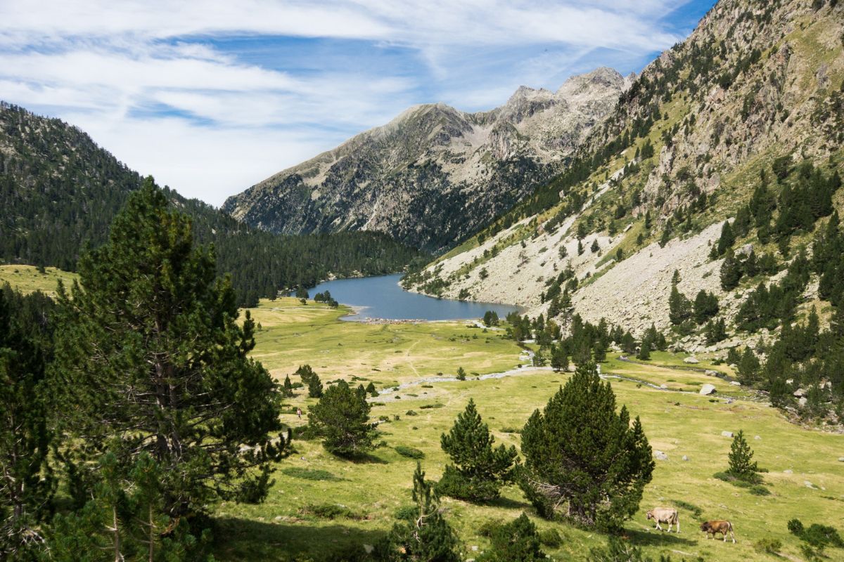 Les Pyrénées