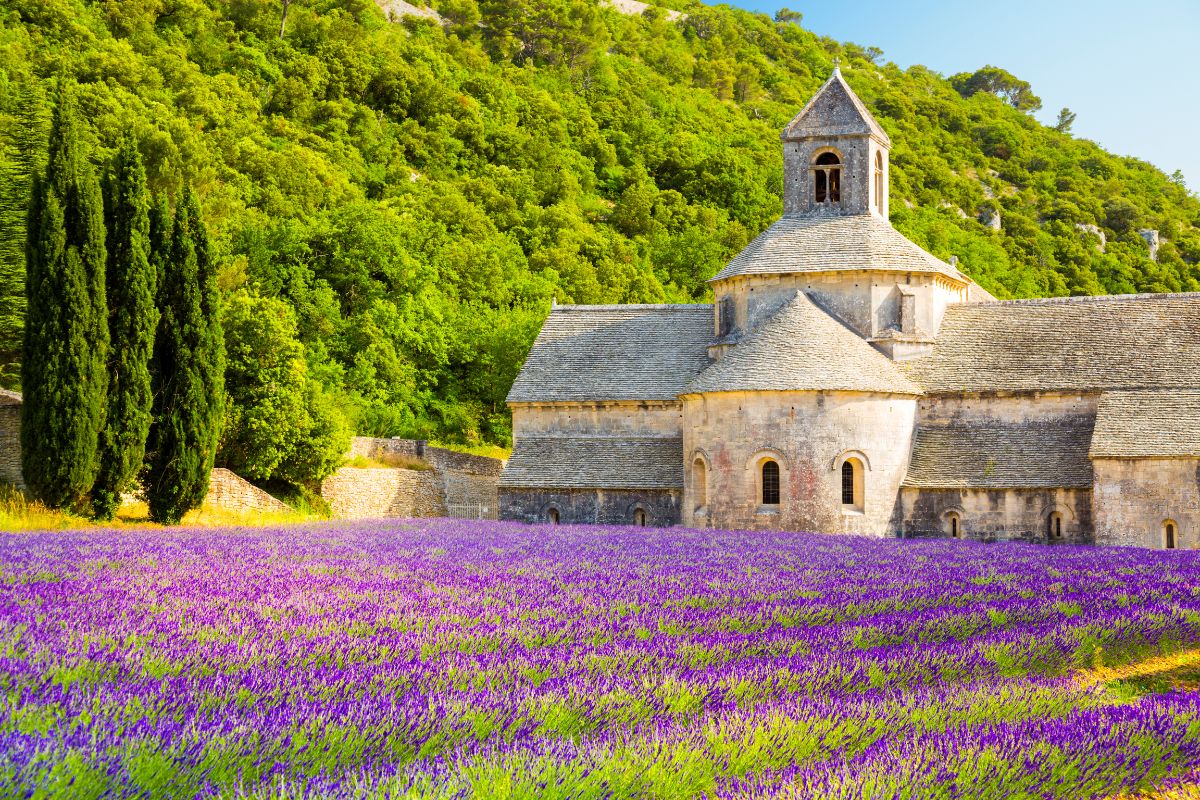 Provence