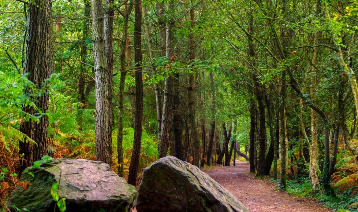 Brocéliande