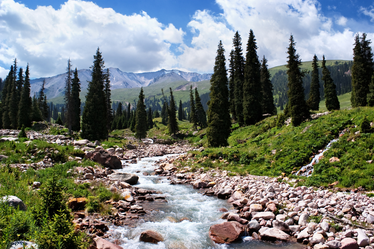 bons-plan-montagne-ete