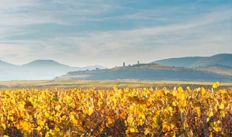 village-autour-route-des-vins-en-bourgogne