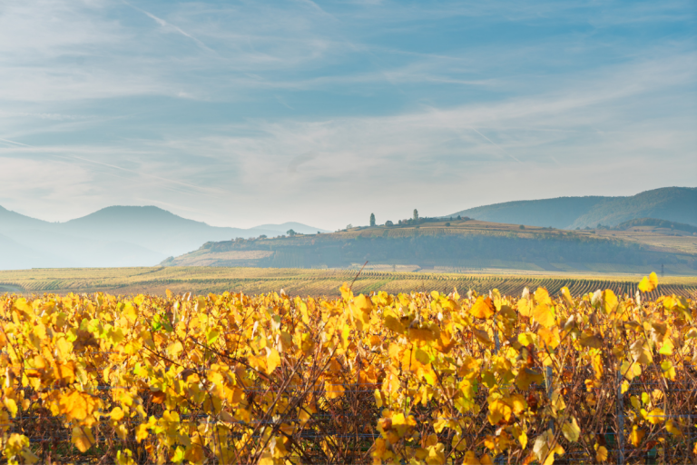 village-autour-route-des-vins-en-bourgogne