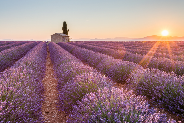 village baronnie provencales