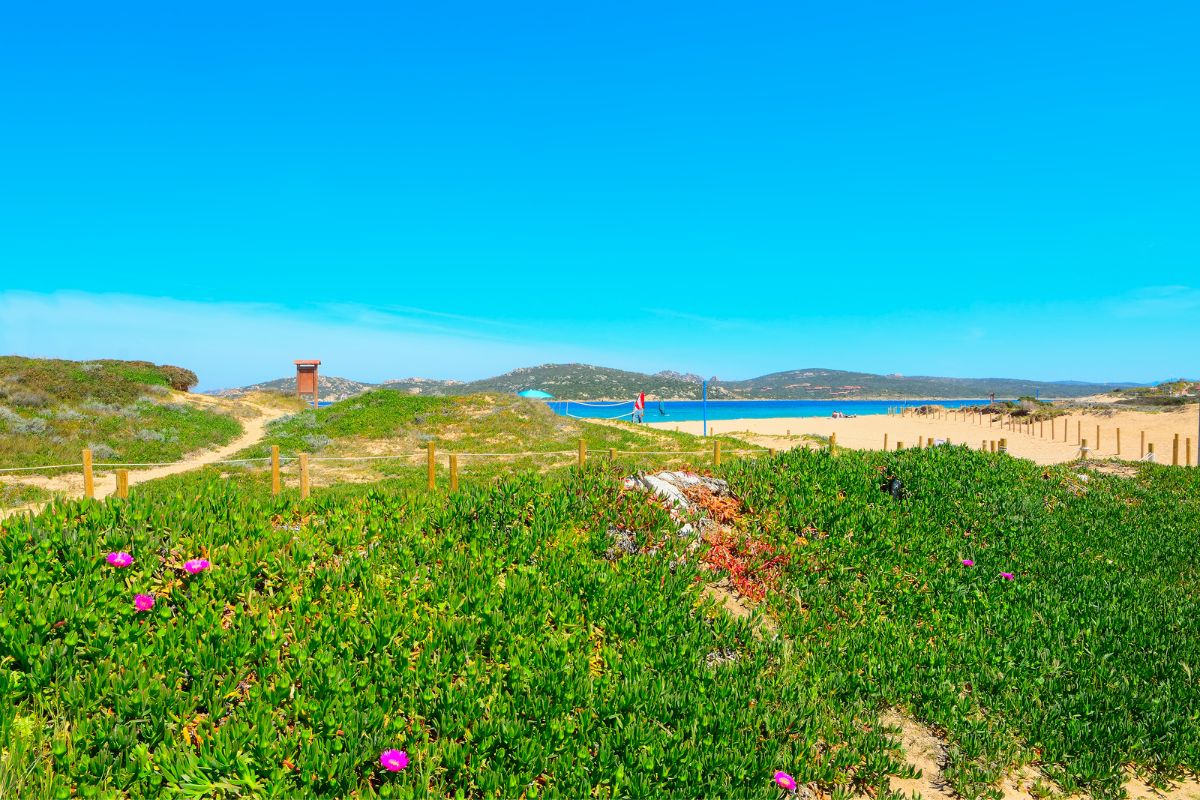 Plage de Porto Pollo