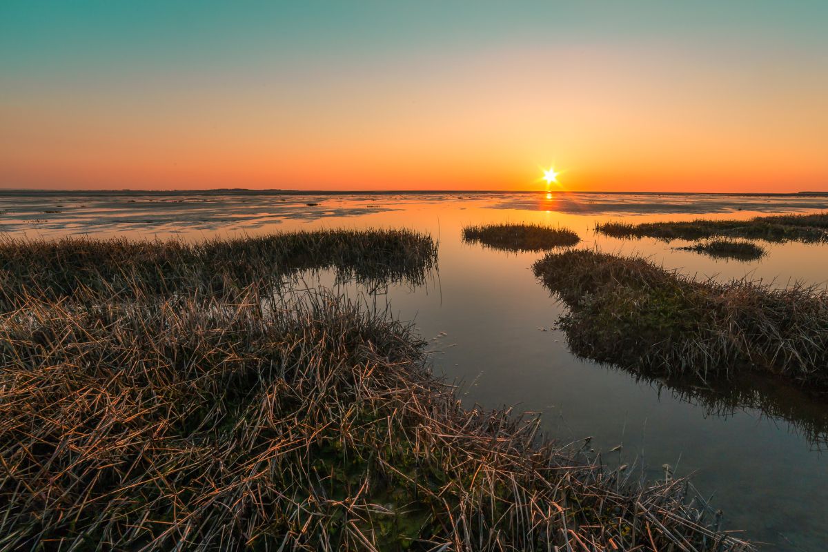 baie de somme