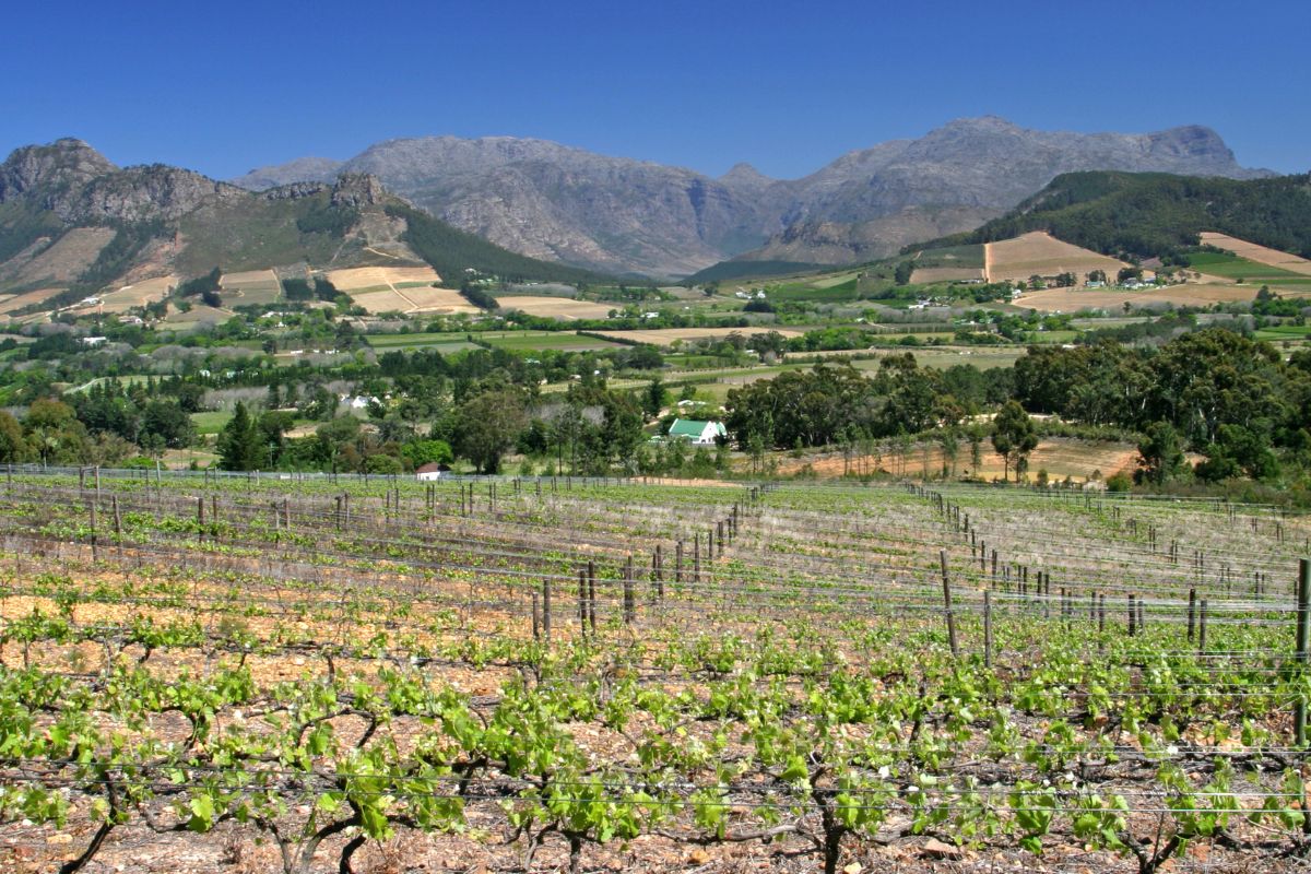 Franschhoek