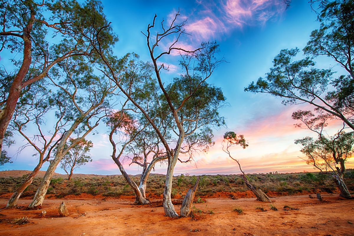 L'Australie