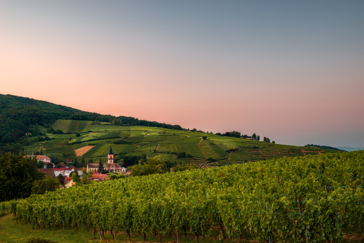 village-autour-obernai