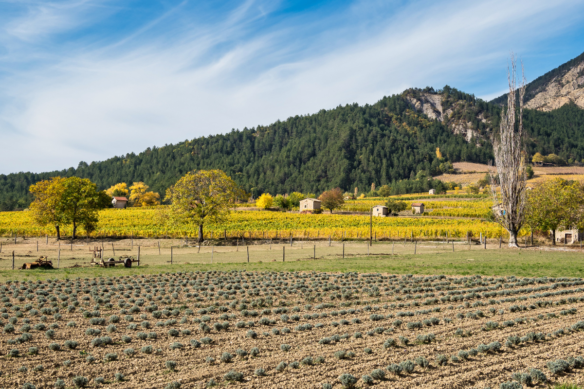 village-autour-nyons