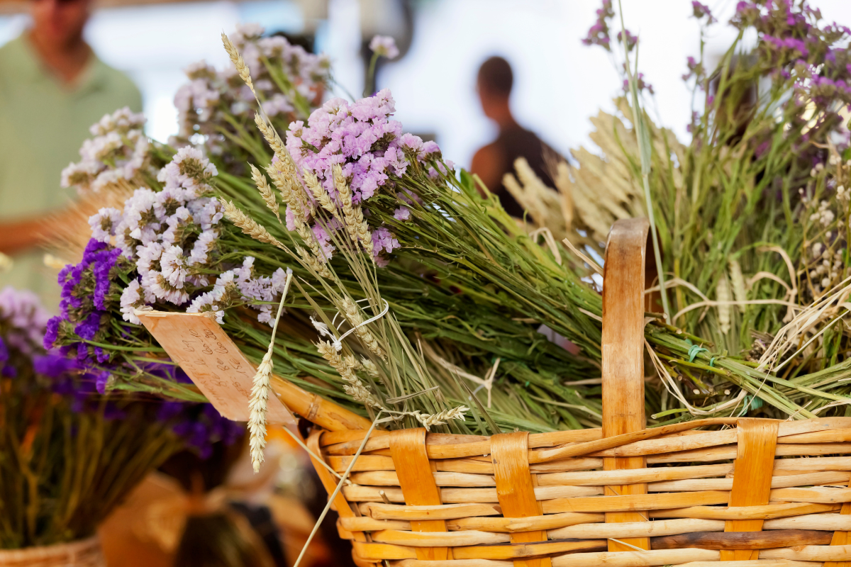 meilleur-marche-provence