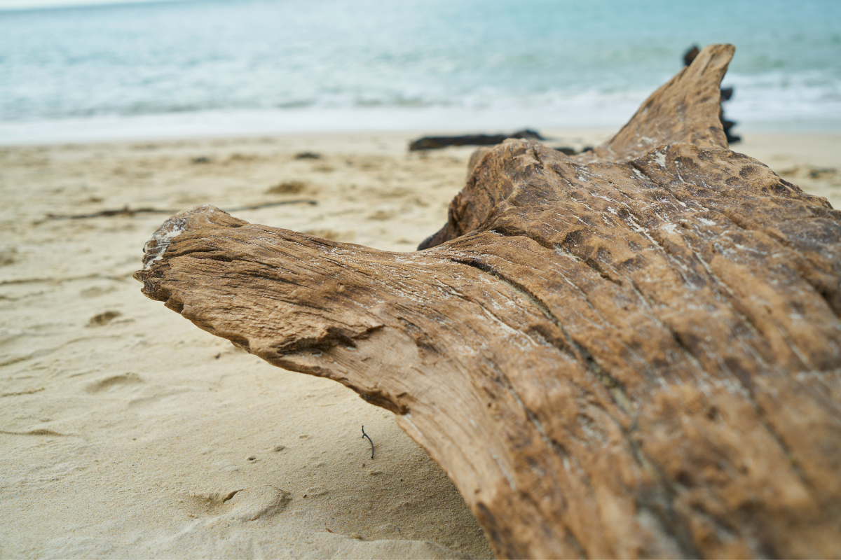 plage-sainte-maxime