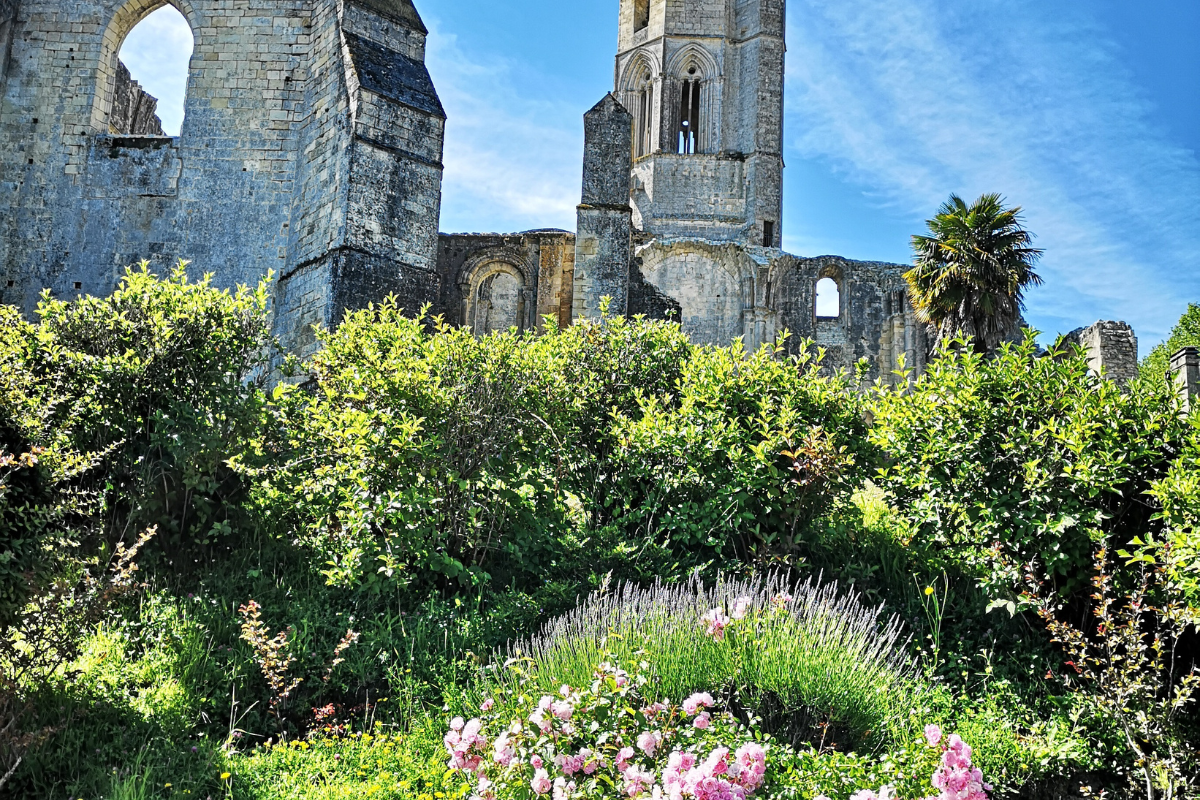 village-autour-saint-emilion