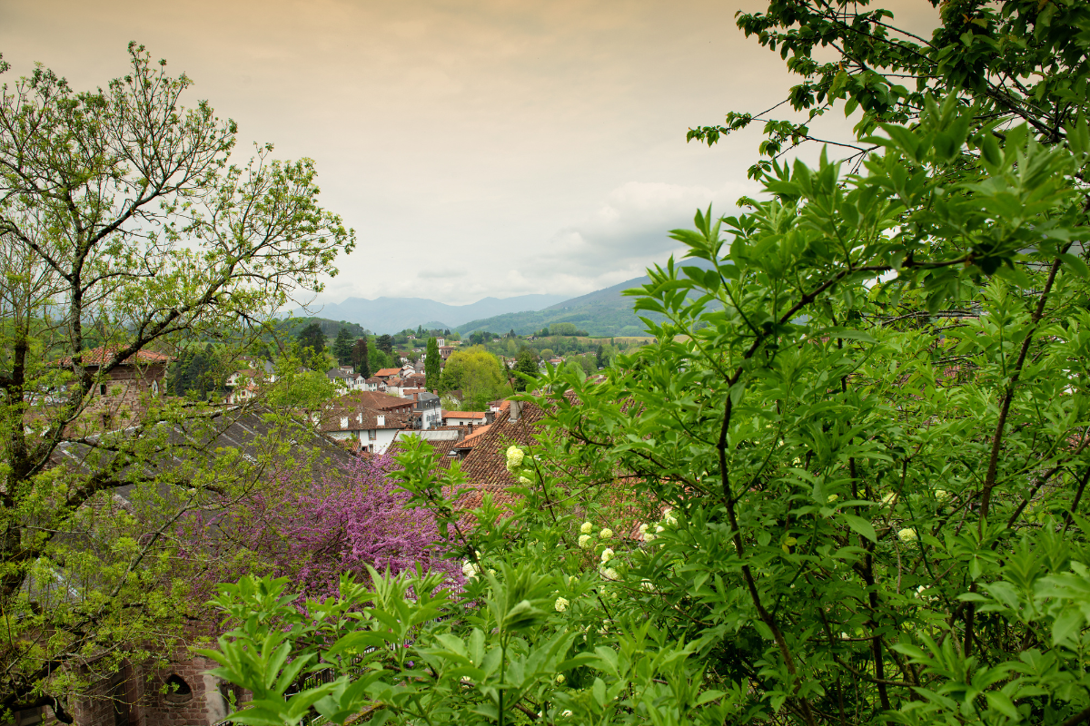 village-autour-espelette