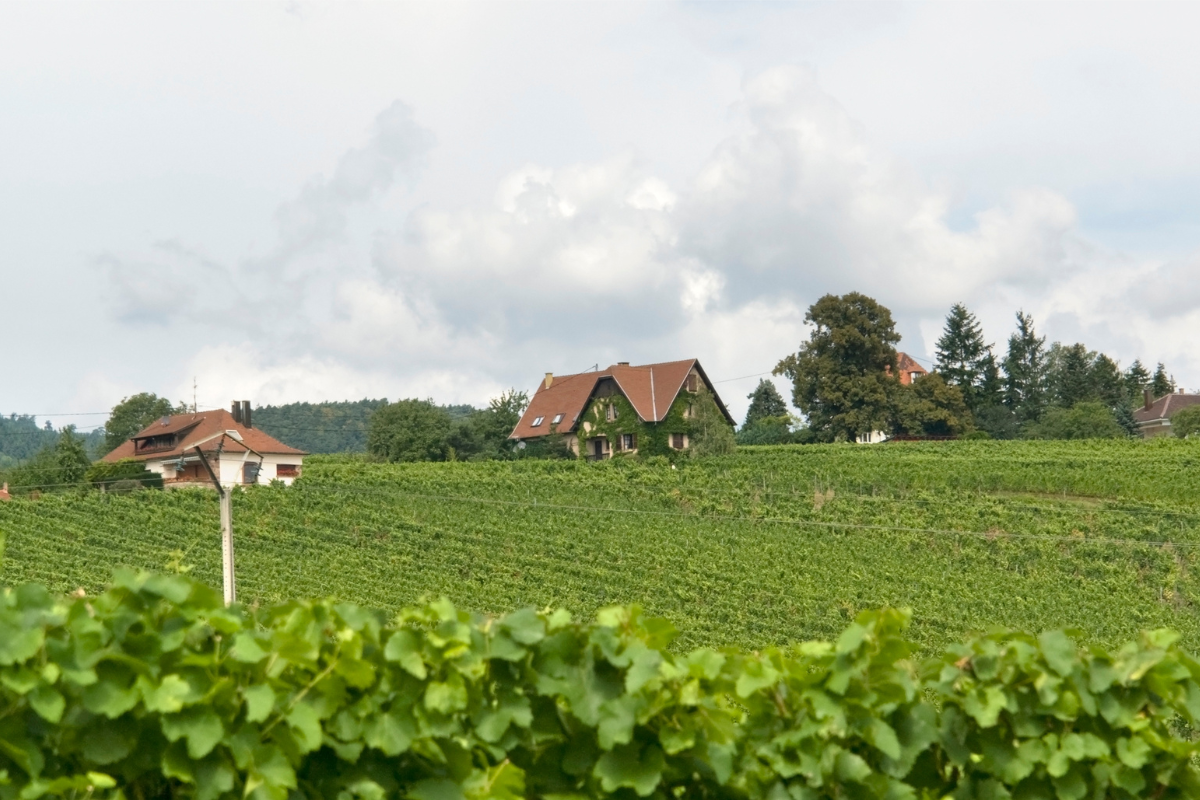 village-autour-obernai