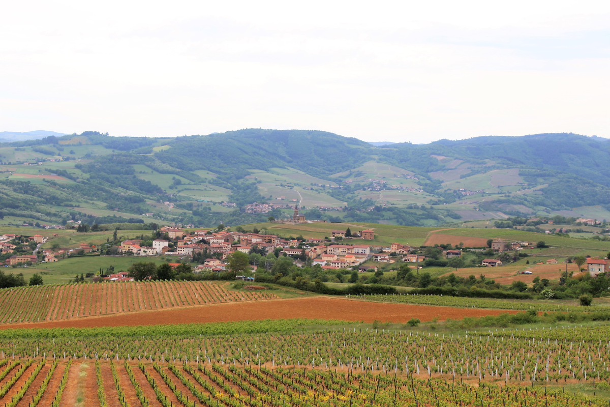 meilleur-village-pont-du-gard