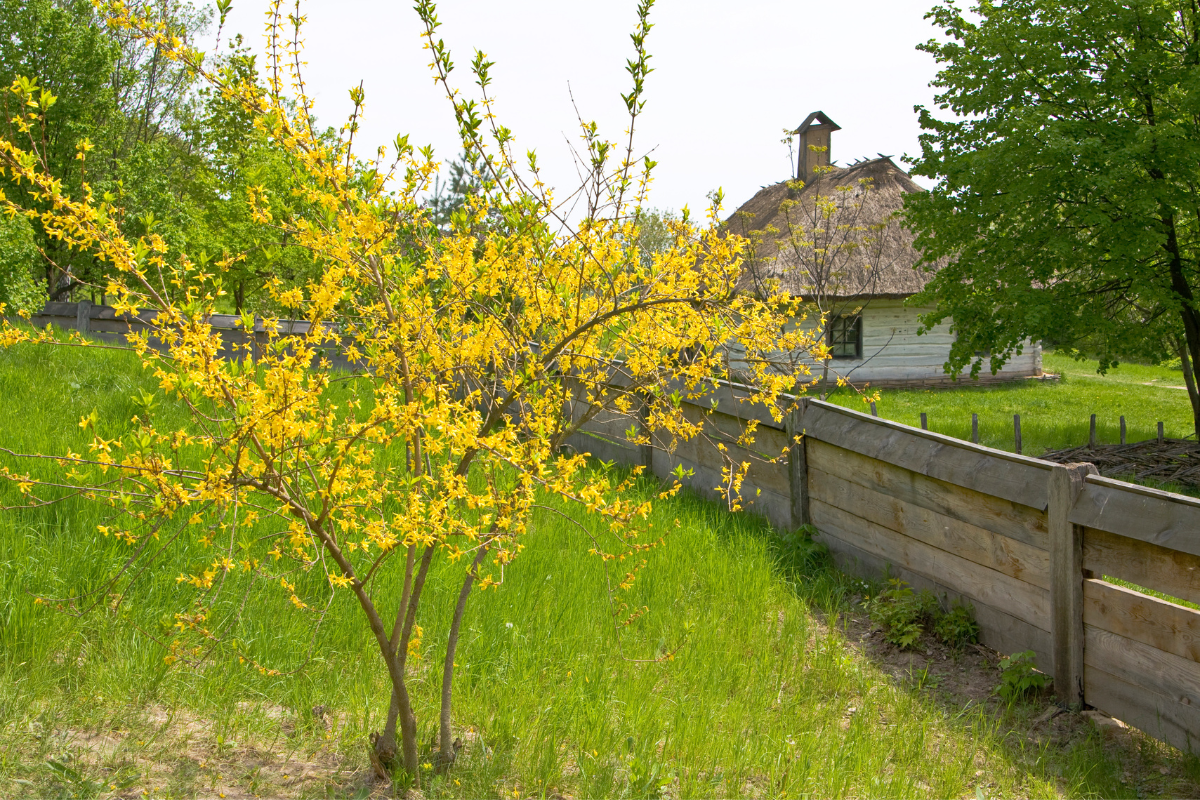 plus-beaux-villages-avesnois