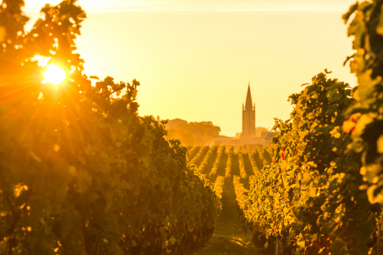 village-autour-saint-emilion